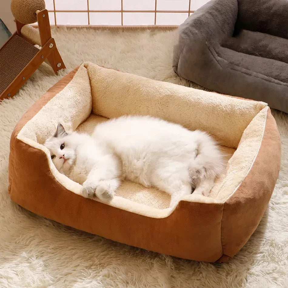 Letto per gatti Prodotti per animali Cuscini Articoli per gattini Accessori Cani Tutti i articoli per la casa Cose Accessorio Habitat Cestino Letti per la casa